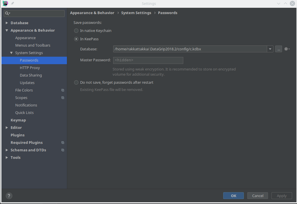 Password Configuration in DataGrip